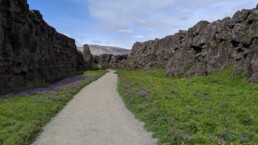 Thingvellir