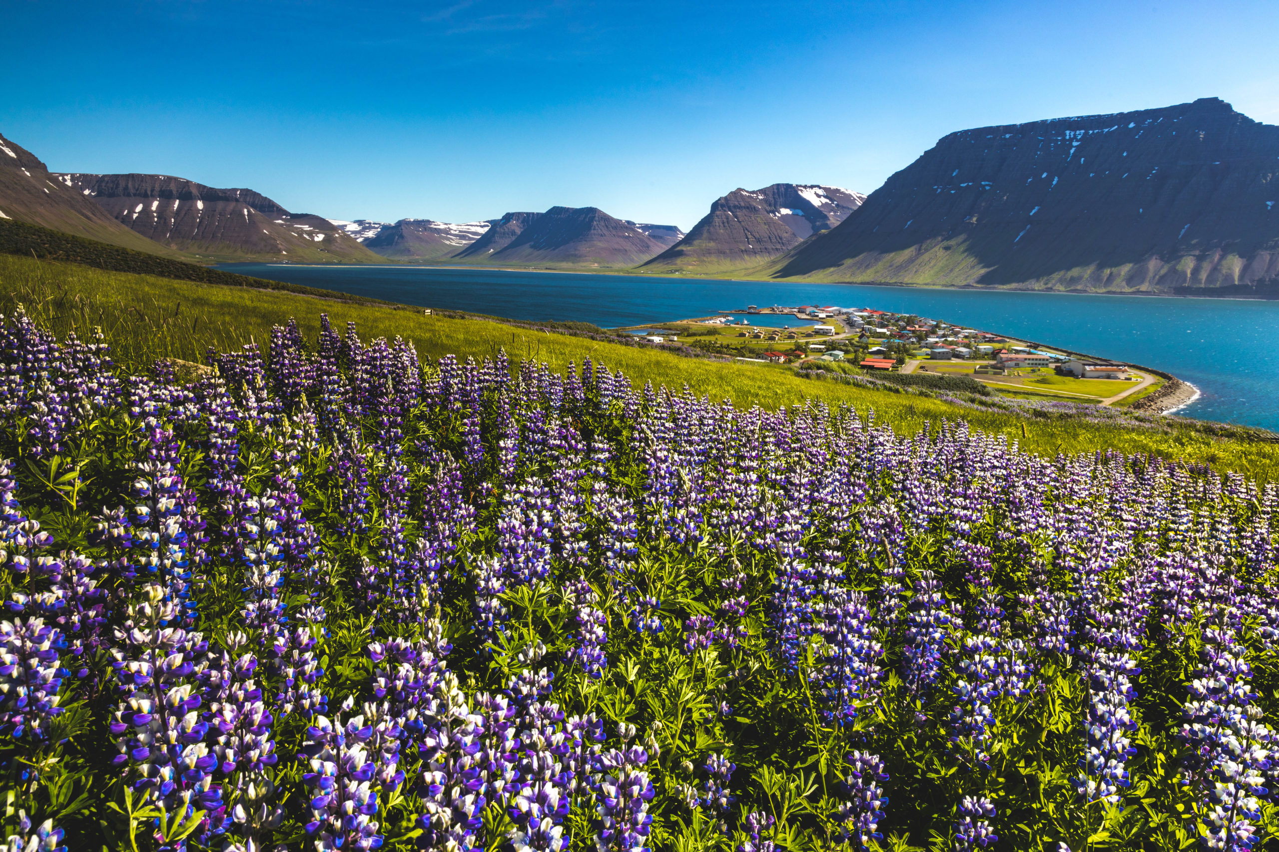 visit iceland from uk