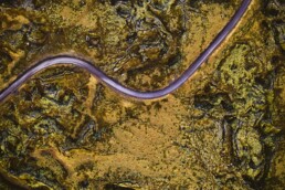 An aerial shot of road in Iceland