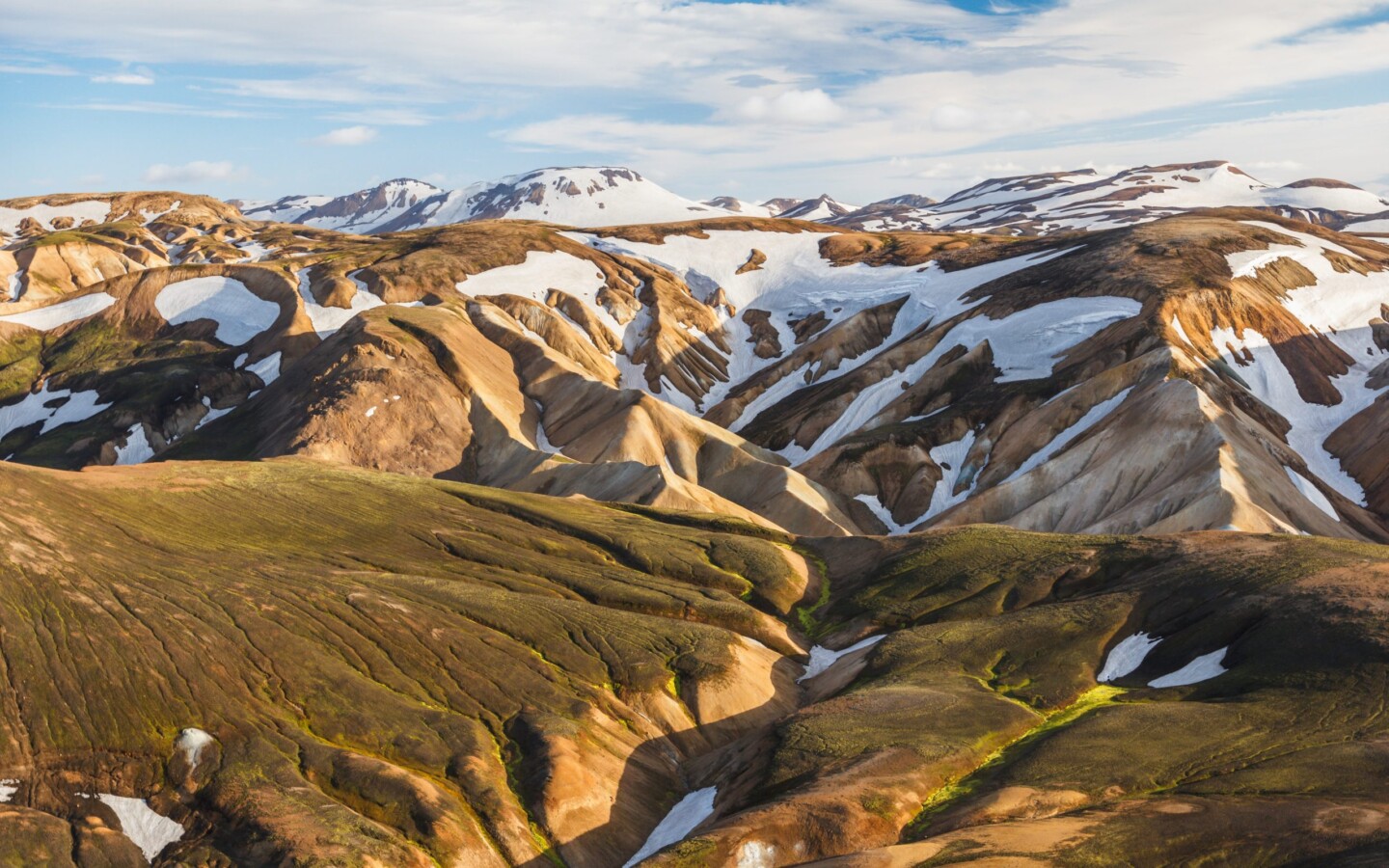 From Iceland — Ask An Expert: What Makes Icelandic Moss So Special?