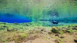scuba diving in iceland