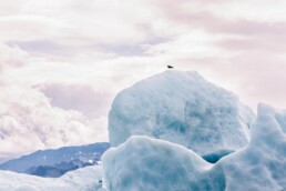 J&ouml;kuls&aacute;rl&oacute;n Glacier Lagoon