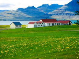 spring in Iceland