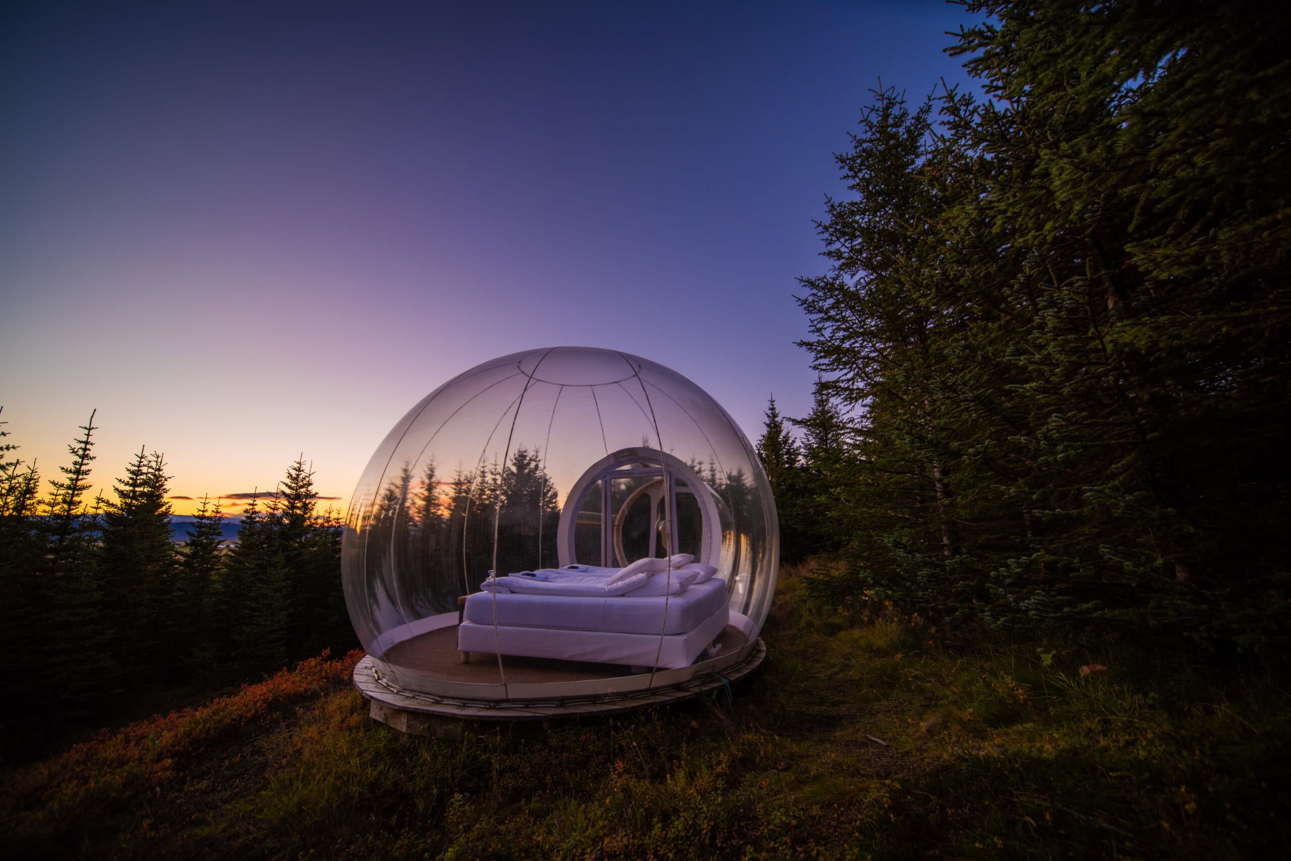A night at Buubble